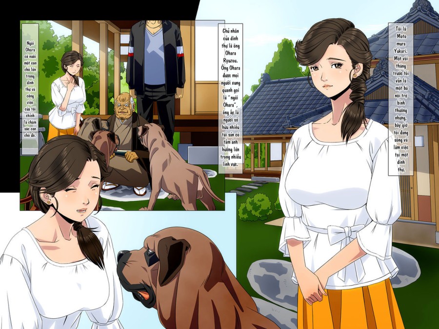 Kimi wa Waga Subete 