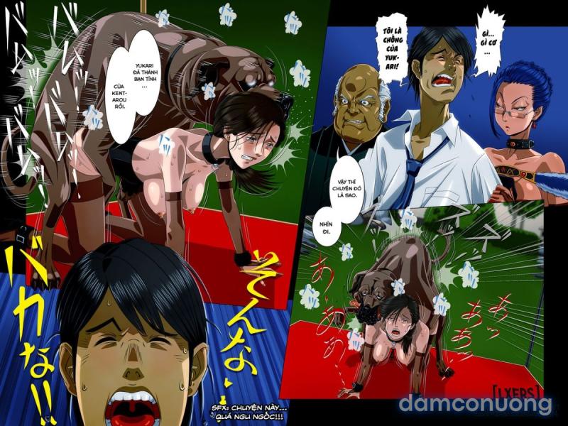 Kimi wa Waga Subete 