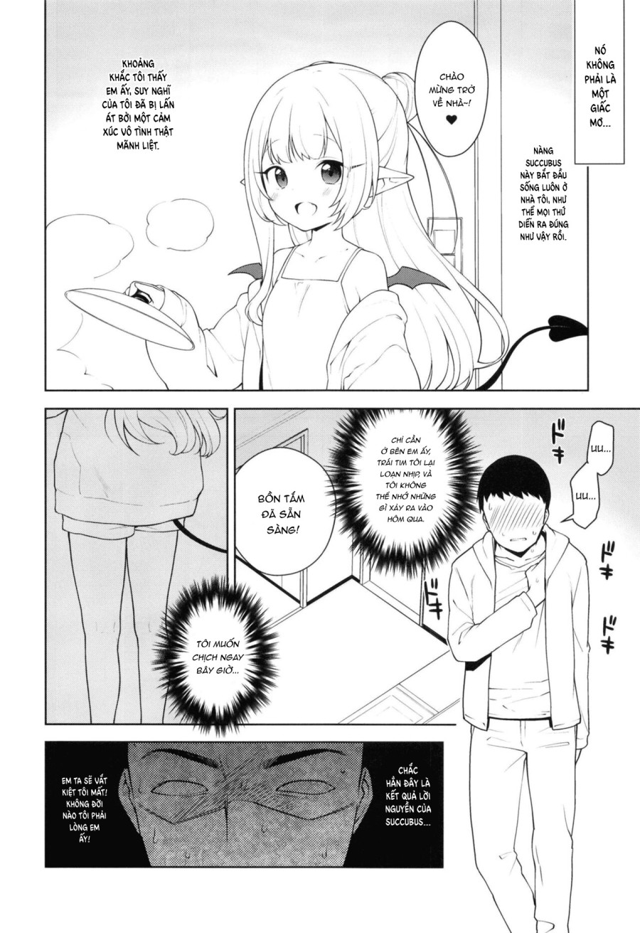 Chibi Succu Shiko Life 
