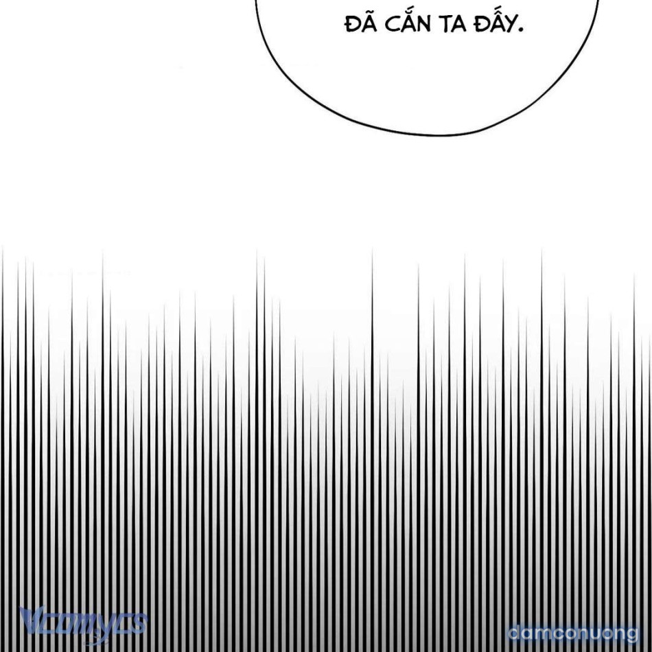 [18+] Người Em Vợ Tóc Vàng 