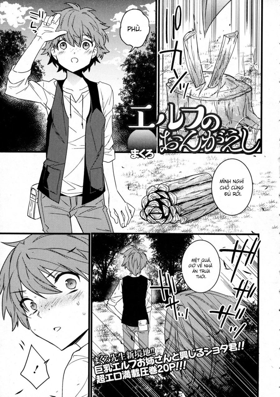 Elf no Ongaeshi 