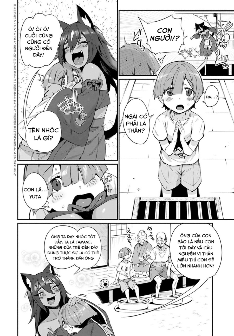 Tamane-sama no Kami Fudeoroshi 