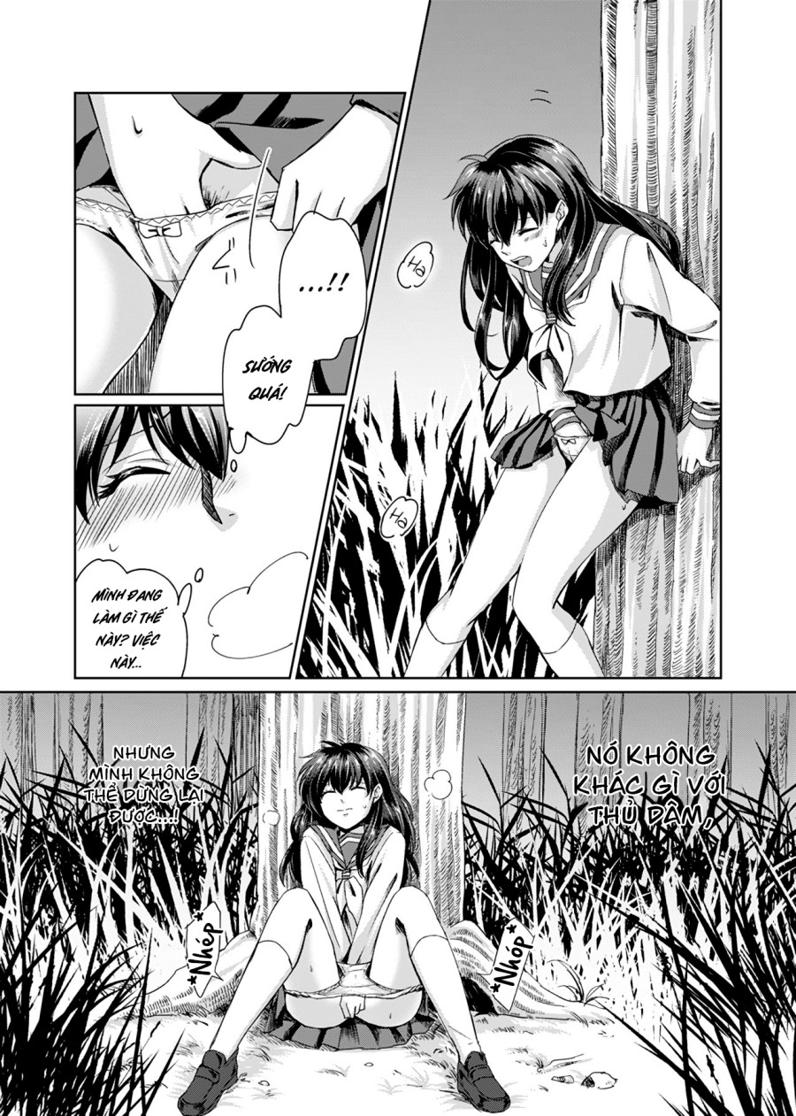 Tuyển tập Inuyasha 