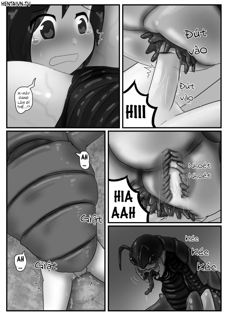 Lạc lối vào ổ bọ khổng lồ 