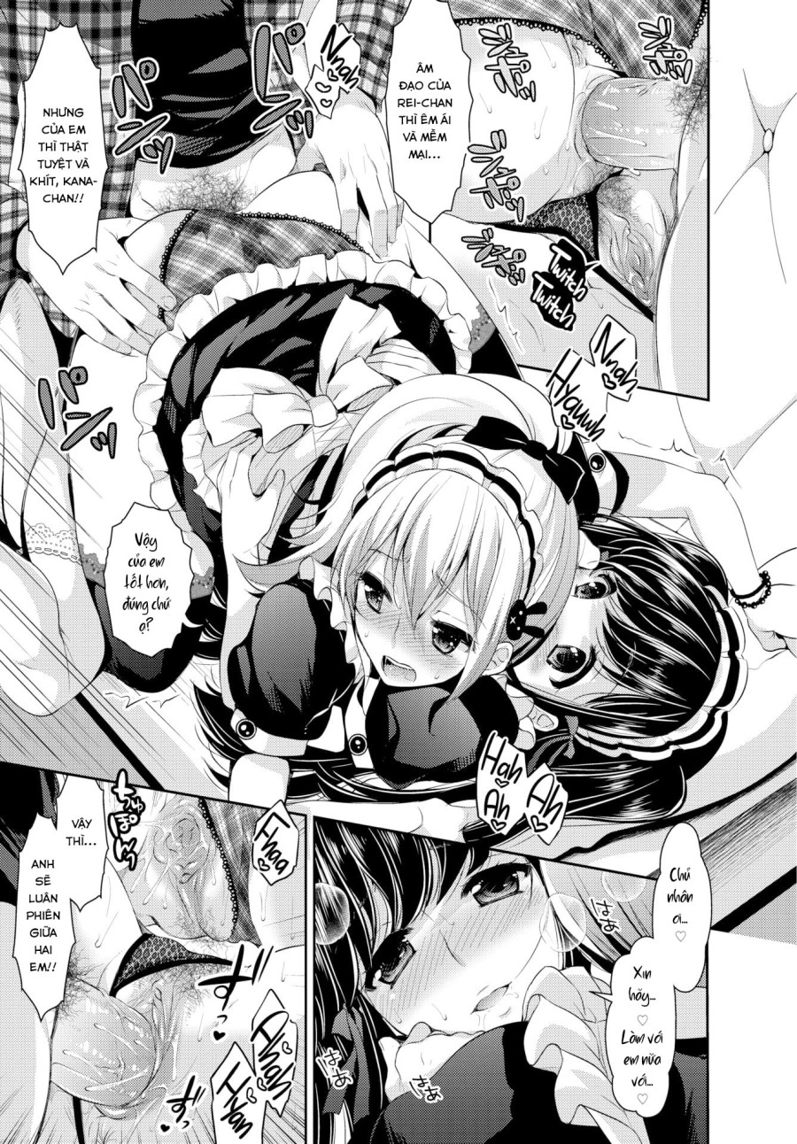 Which Maid ❤ Show 