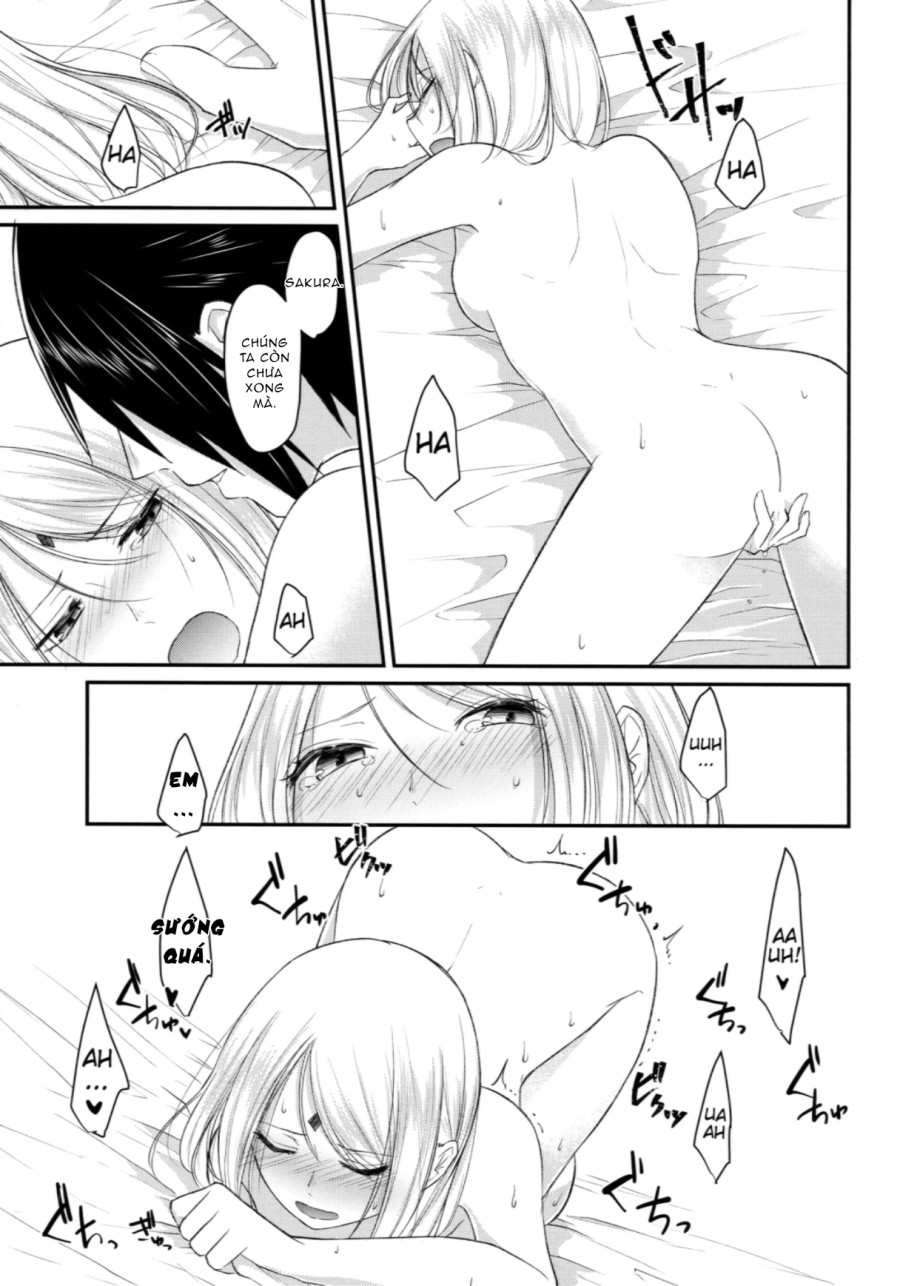 Curiosity killed the cat 