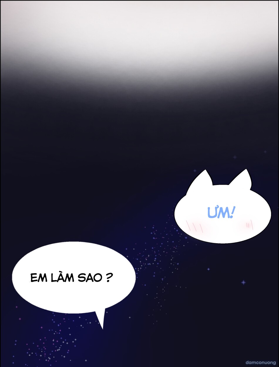Cười vợ để làm gì ? 