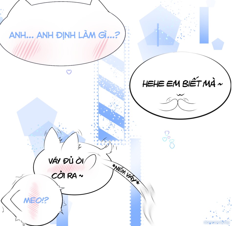 Cười vợ để làm gì ? 