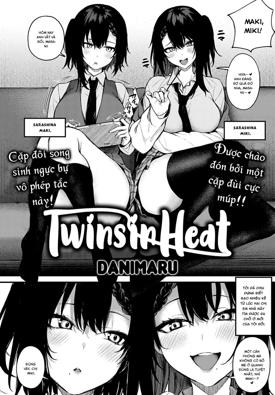 Twins in Heat 