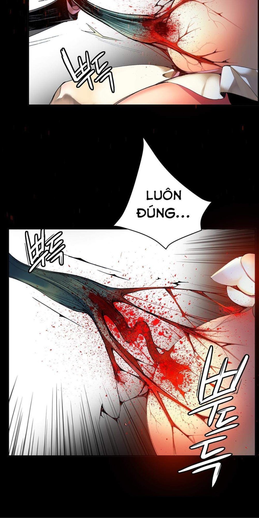Sự Ràng Buộc Của Lilith 