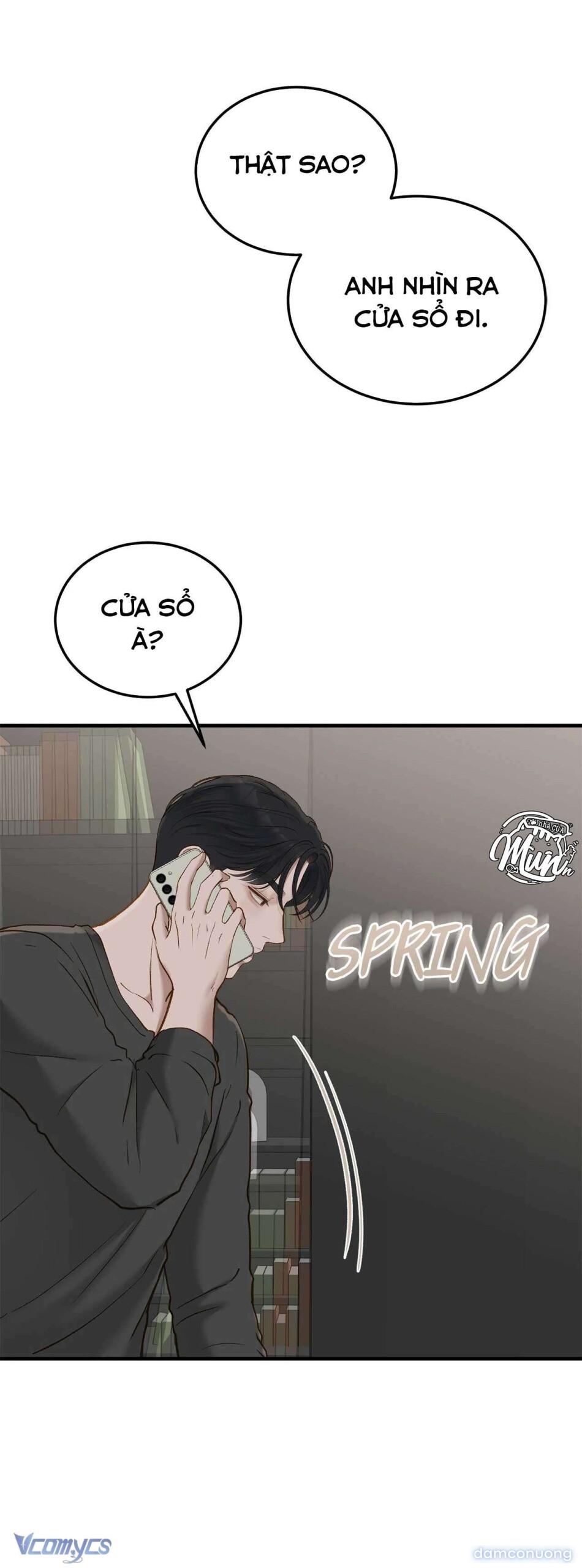 Bất Chấp Rủi Ro 
