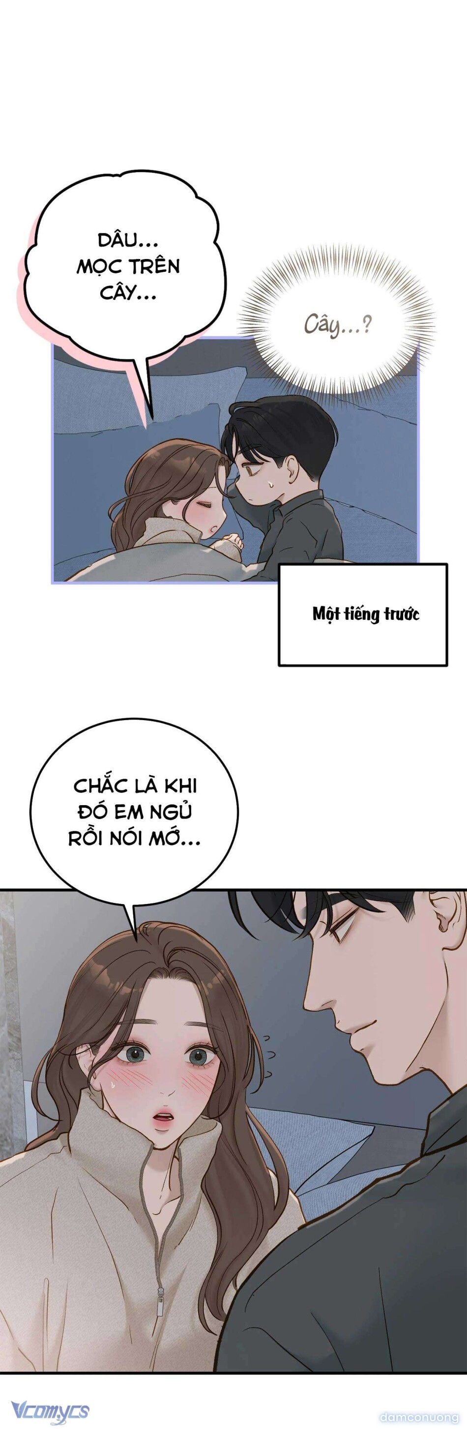 Bất Chấp Rủi Ro 