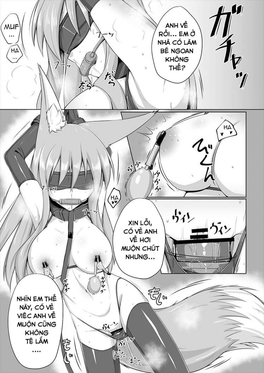 FOX MANIAX 