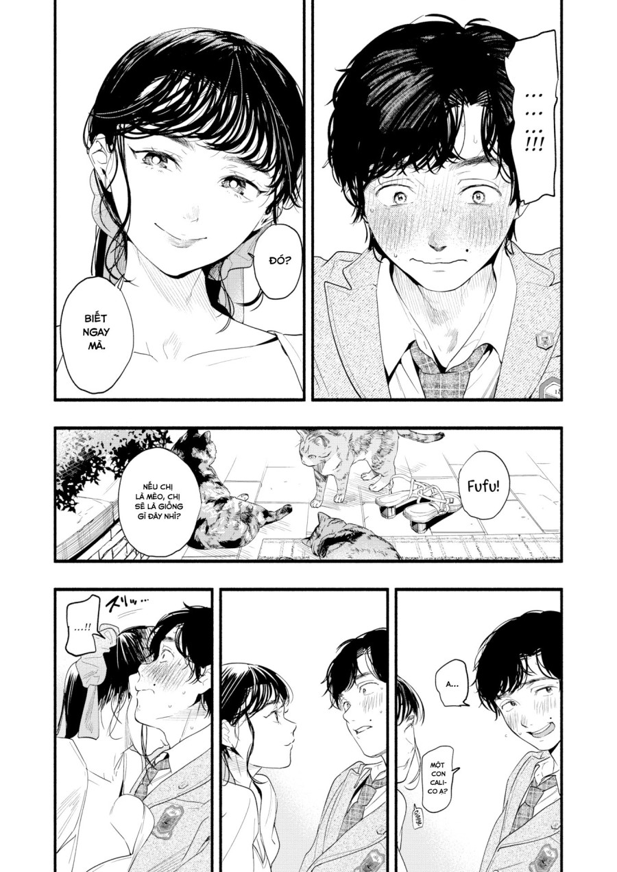 Tìm hiểu nàng Misuzu 