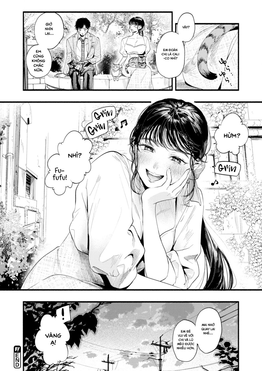 Tìm hiểu nàng Misuzu 