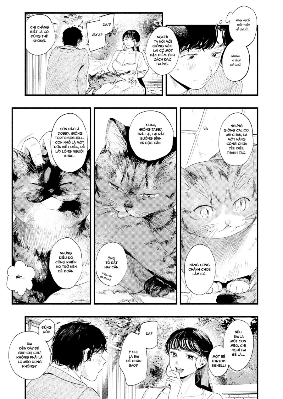 Tìm hiểu nàng Misuzu 