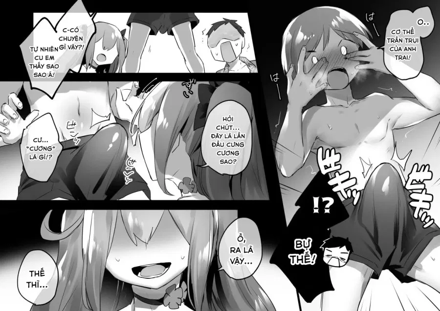Otokonoko Onee-Chan To Erogaki Ga Ii Koto Suru 