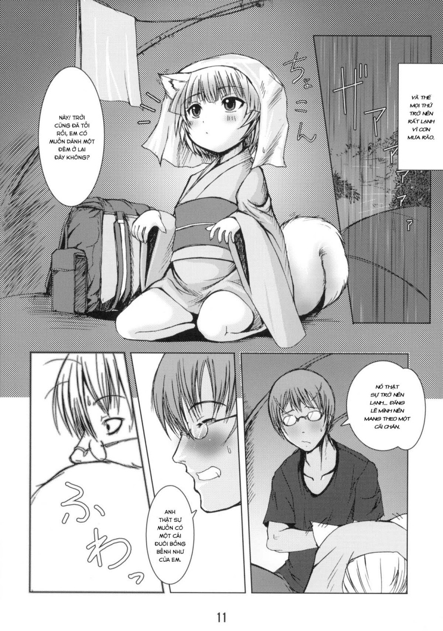 Rừng Cáo Trắng 