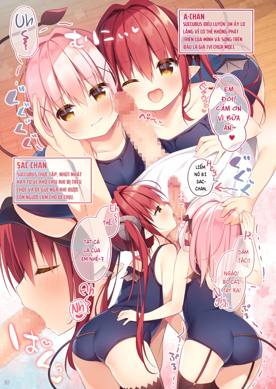 Hai Nàng Succubus Đói Tinh 