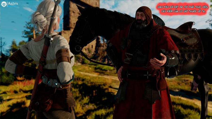 Witcher 3 - Lost Race 