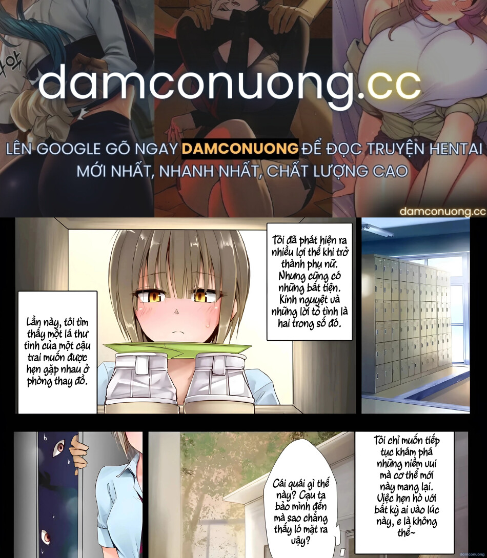 Ts hensei shoukougun 