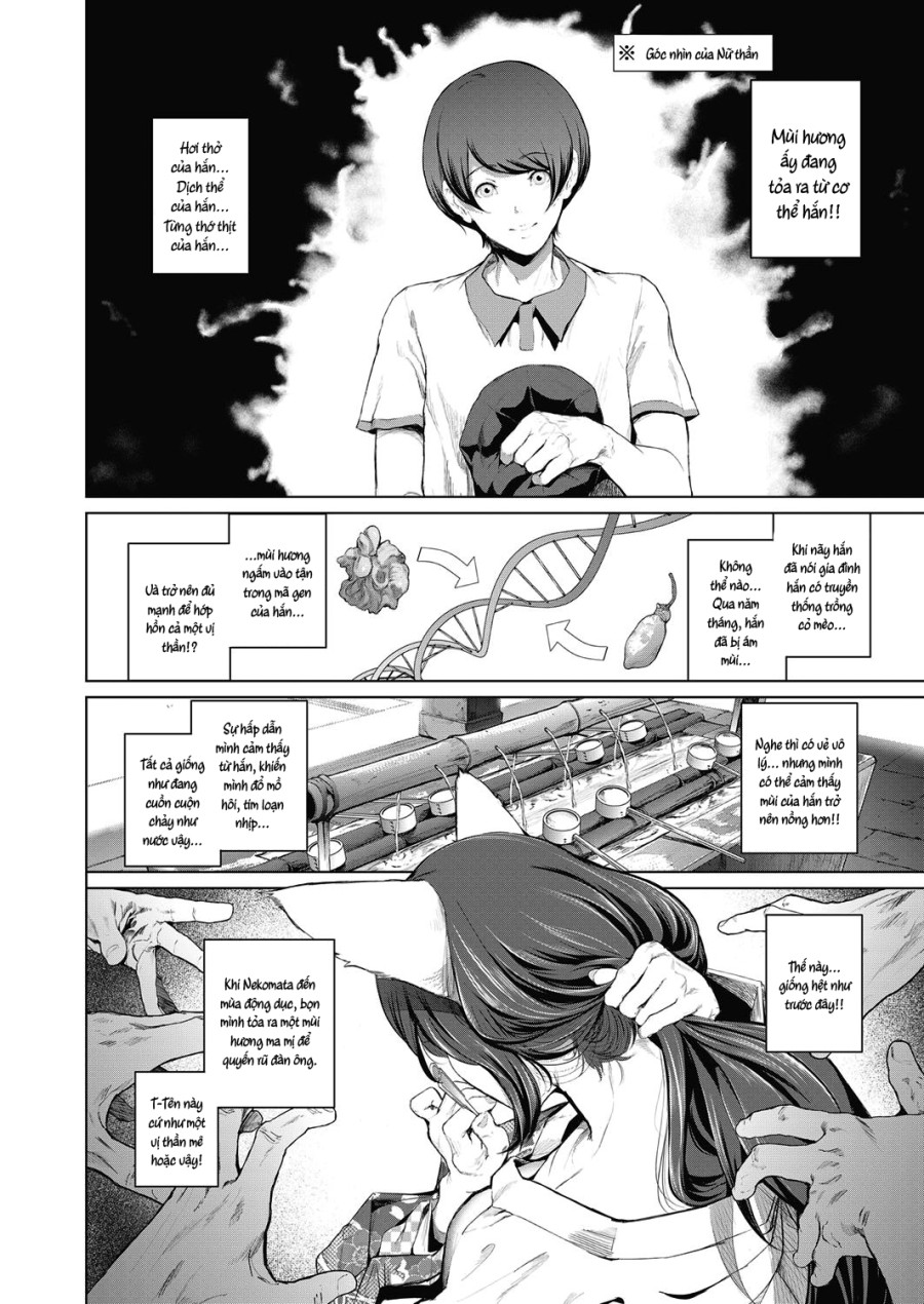 Boy Meets Nyaa God 