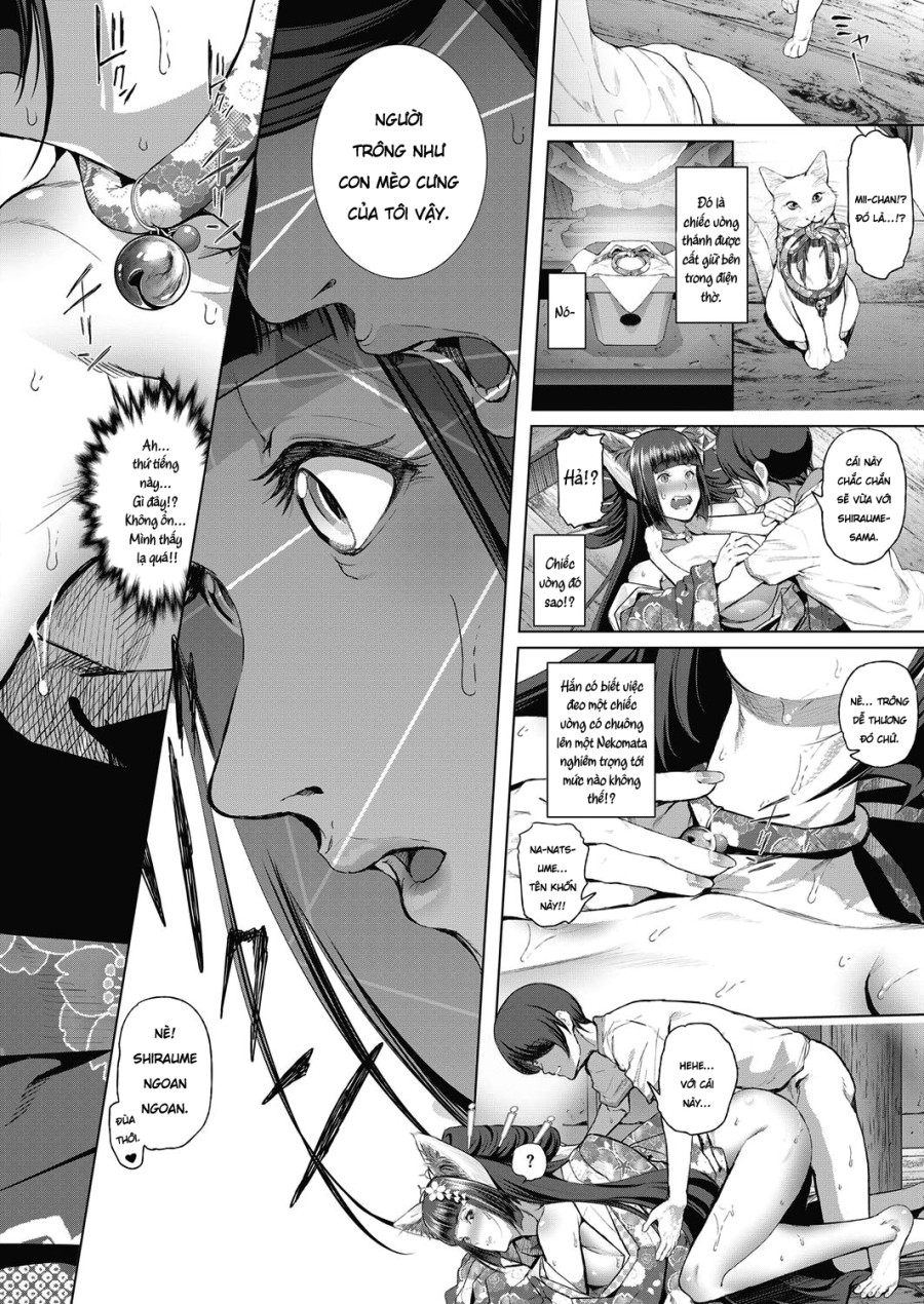 Boy Meets Nyaa God 