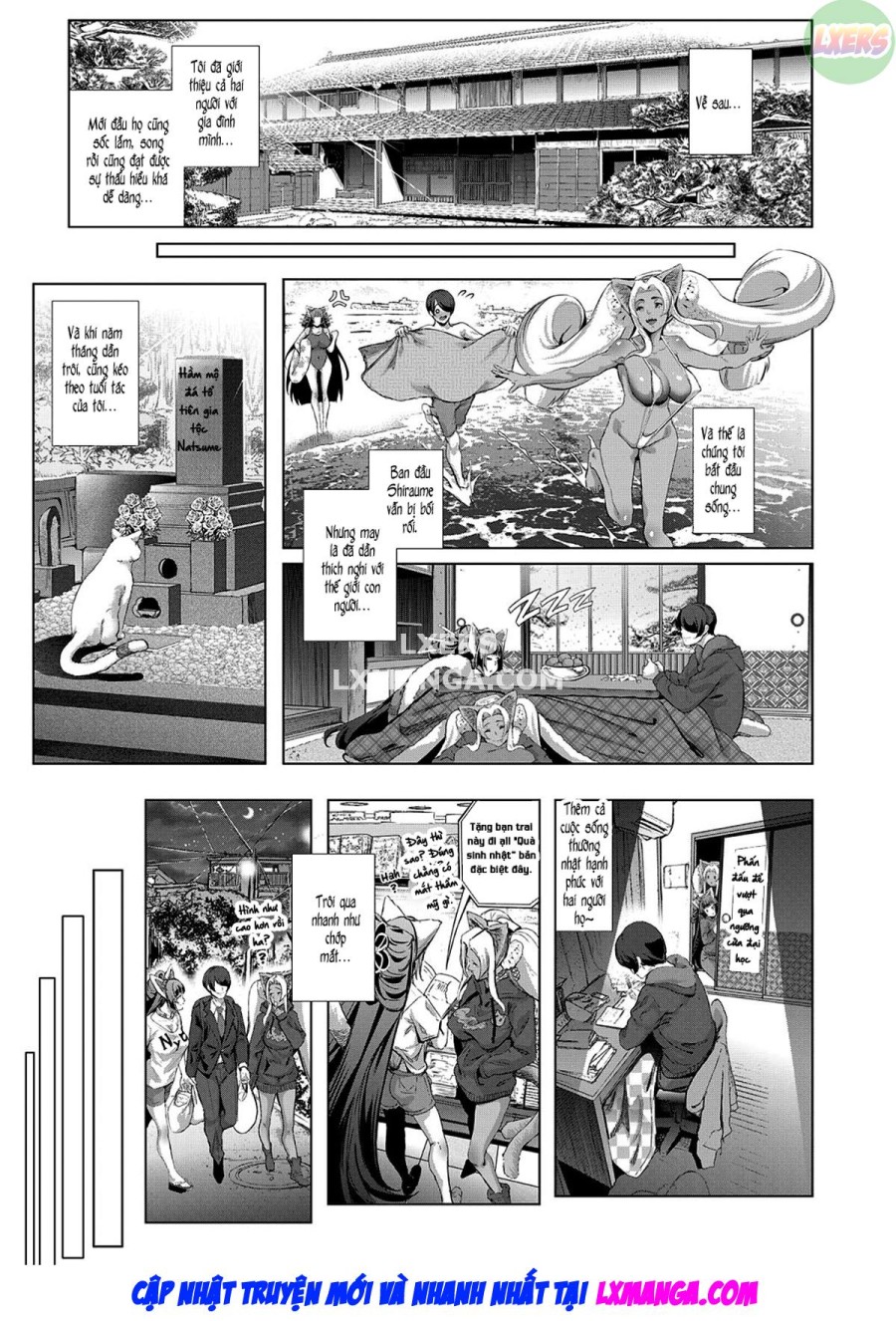 Boy Meets Nyaa God 