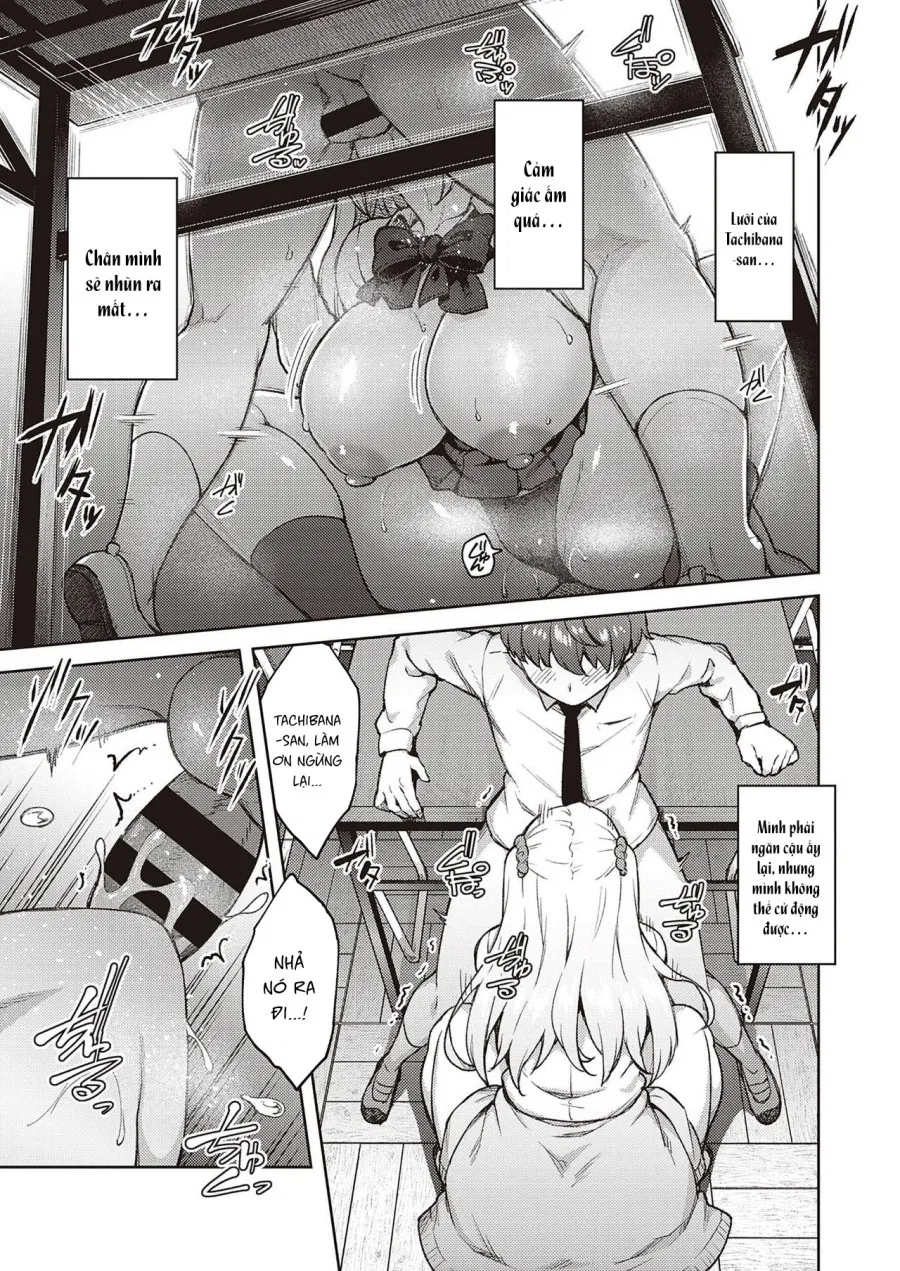 Làm ơn! Đừng trêu tớ nữa mà, Tachibana-san! 