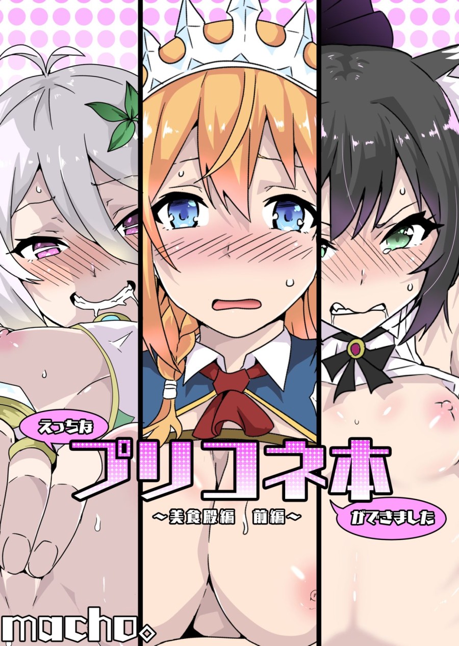 Ecchi na PriConne Bon ga Dekimashita 