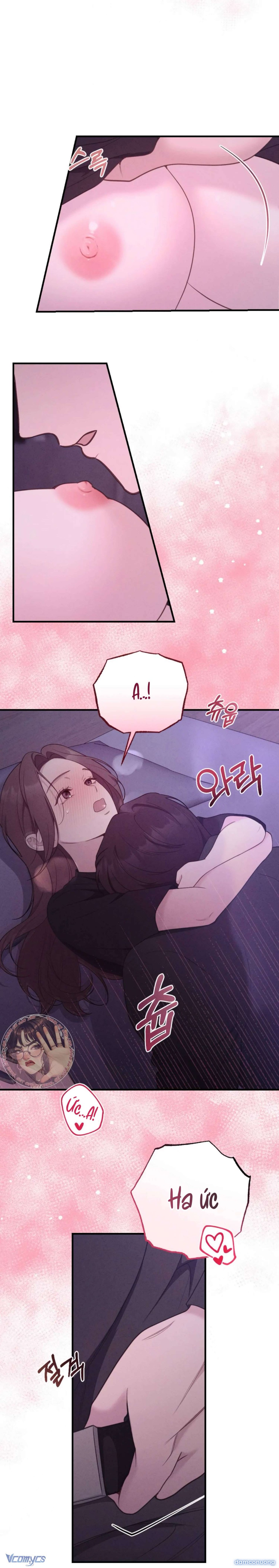 Người Chồng Ăn Bám 