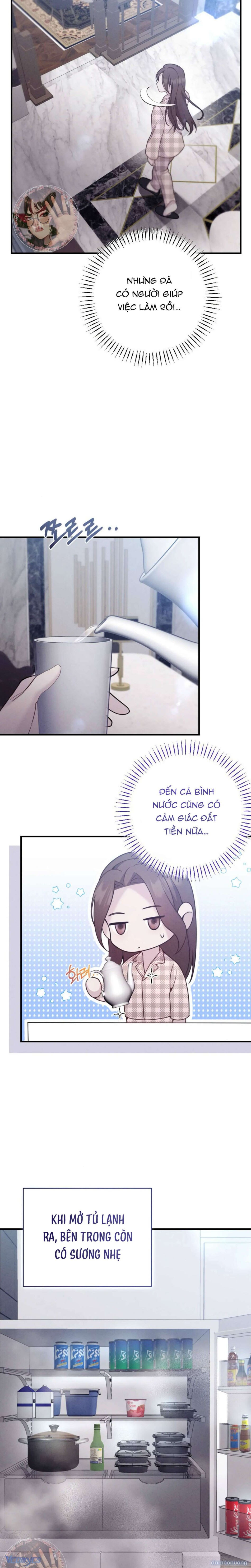 Người Chồng Ăn Bám 