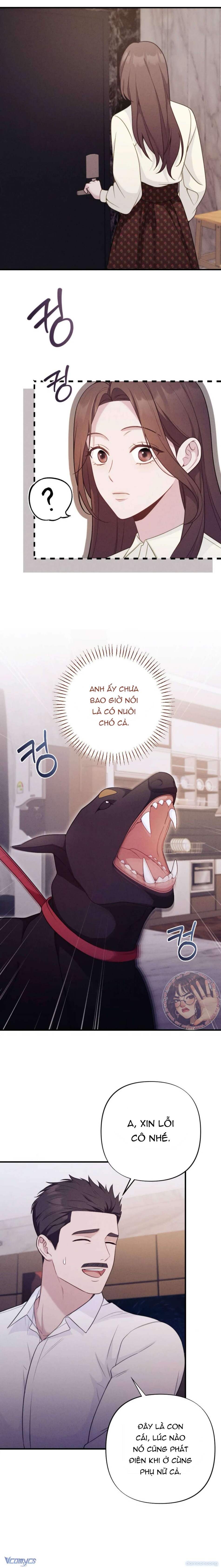 Người Chồng Ăn Bám 