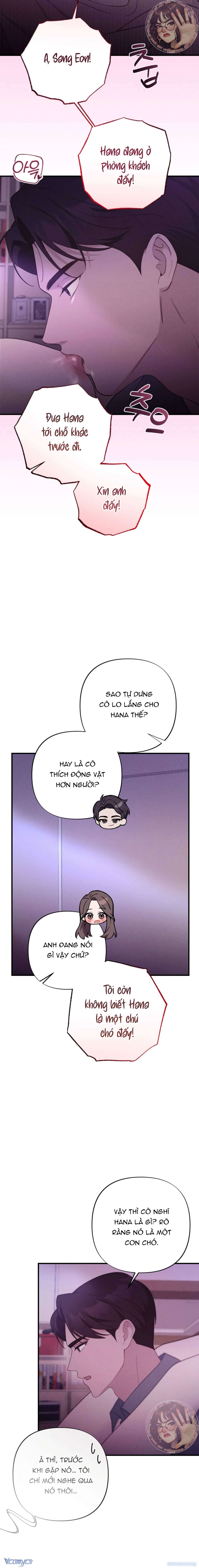 Người Chồng Ăn Bám 