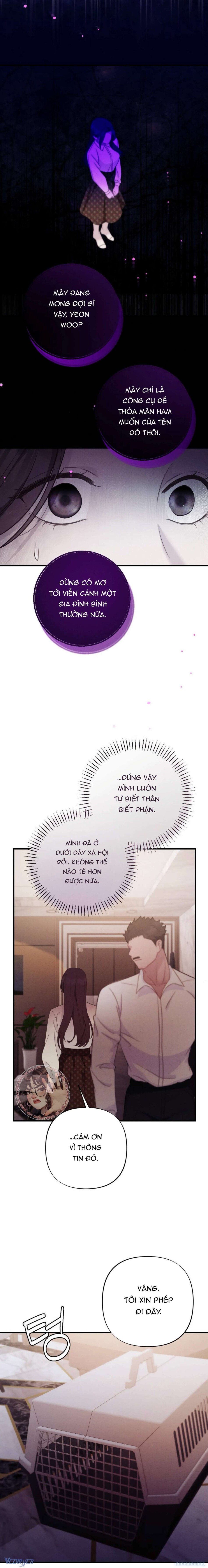 Người Chồng Ăn Bám 