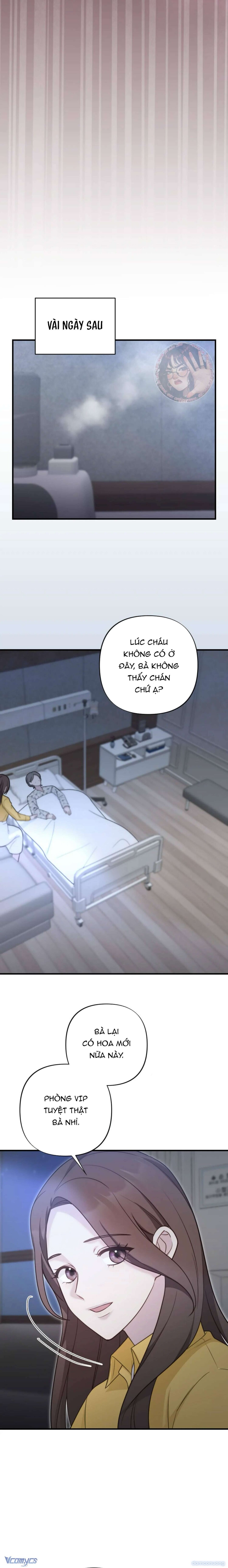 Người Chồng Ăn Bám 