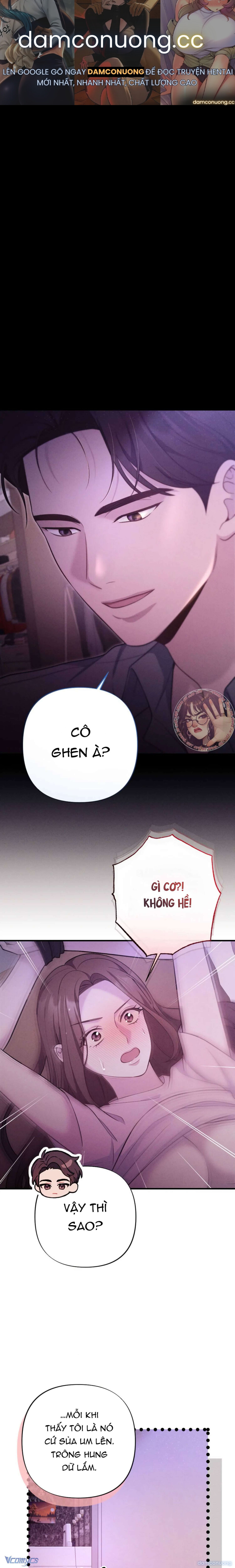 Người Chồng Ăn Bám 