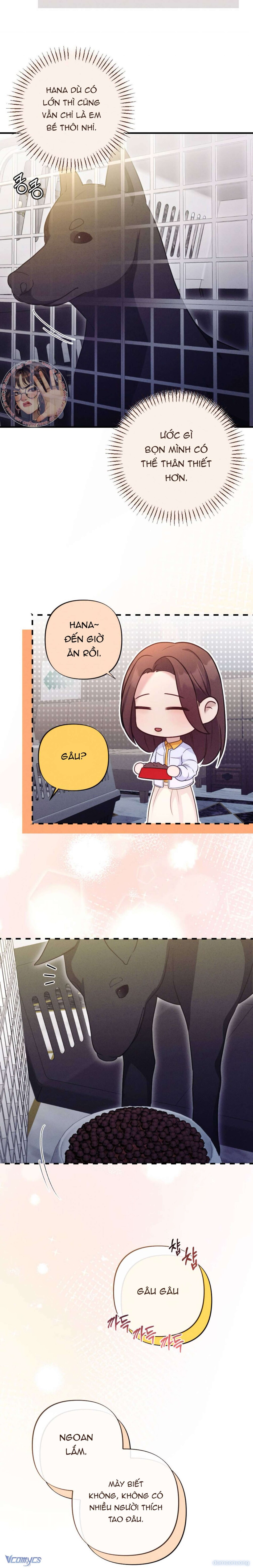Người Chồng Ăn Bám 