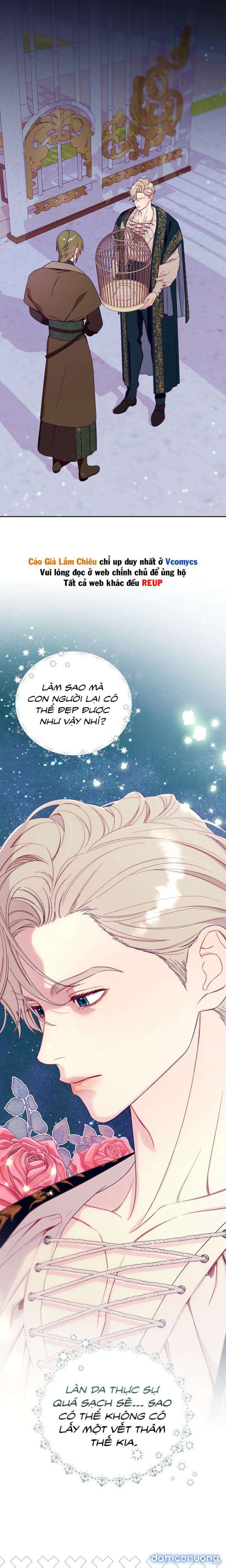 [18+] Lồng Chim Của Người Sưu Tầm 