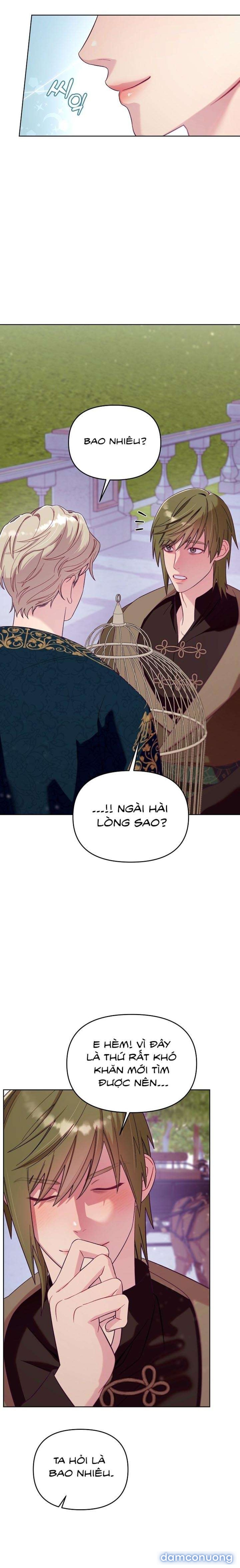 [18+] Lồng Chim Của Người Sưu Tầm 