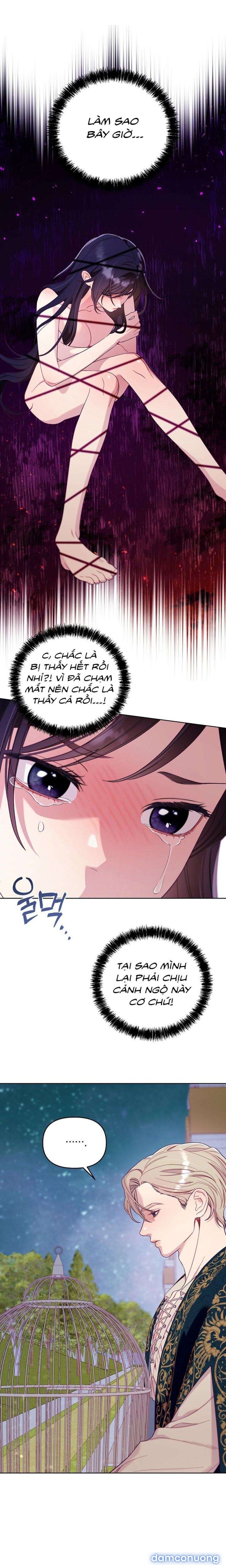 [18+] Lồng Chim Của Người Sưu Tầm 