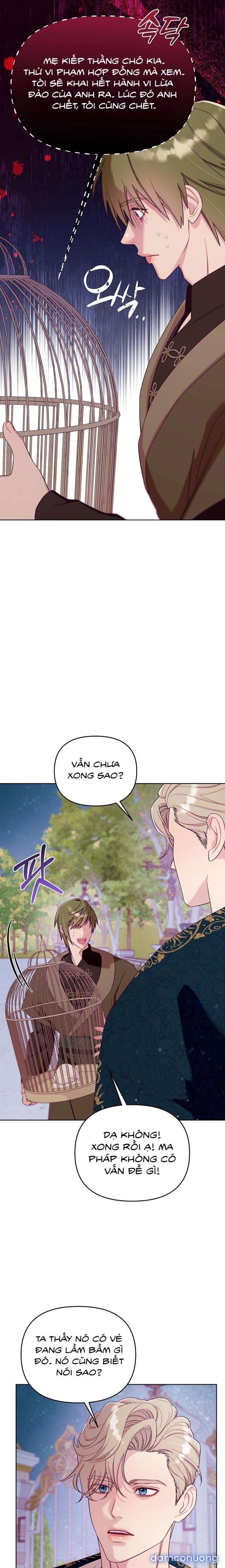 [18+] Lồng Chim Của Người Sưu Tầm 
