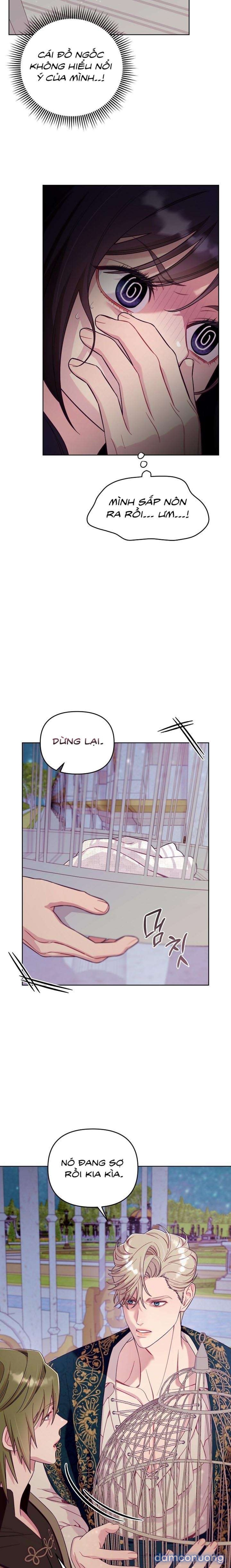 [18+] Lồng Chim Của Người Sưu Tầm 
