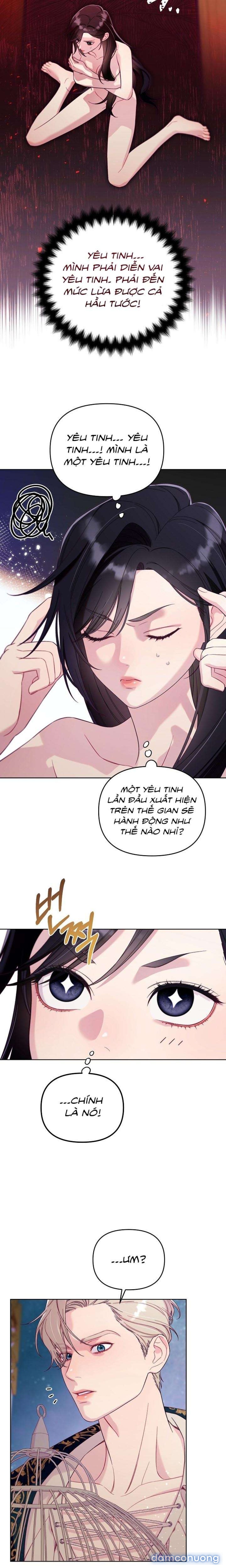 [18+] Lồng Chim Của Người Sưu Tầm 