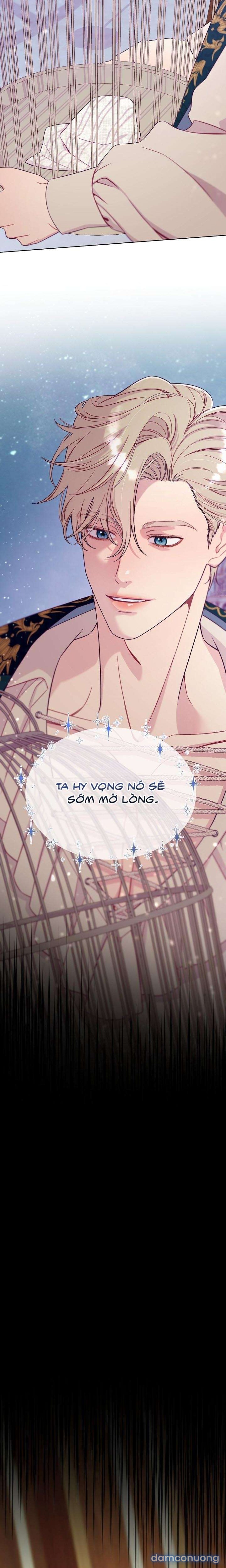 [18+] Lồng Chim Của Người Sưu Tầm 