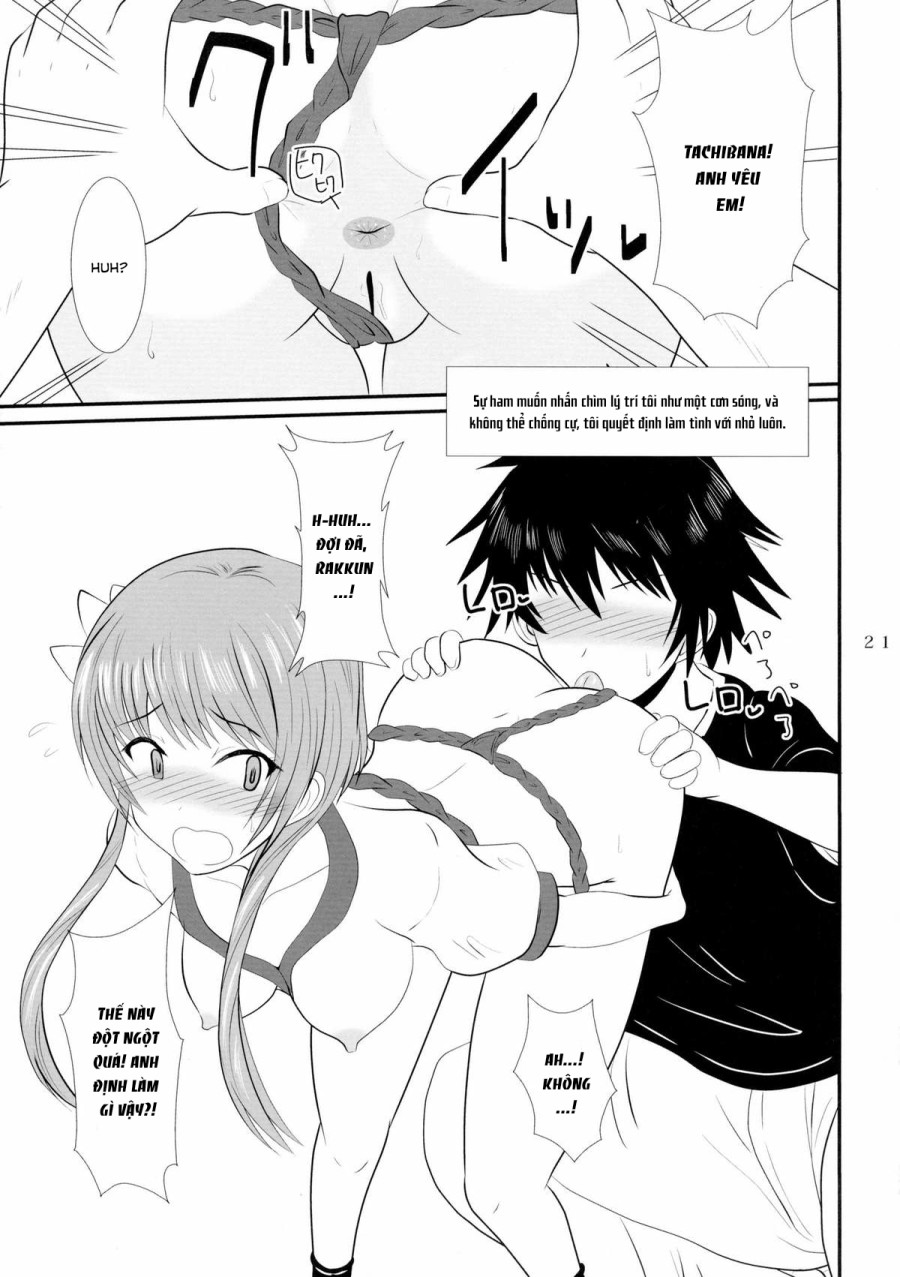 Doishikoi (Nisekoi) 