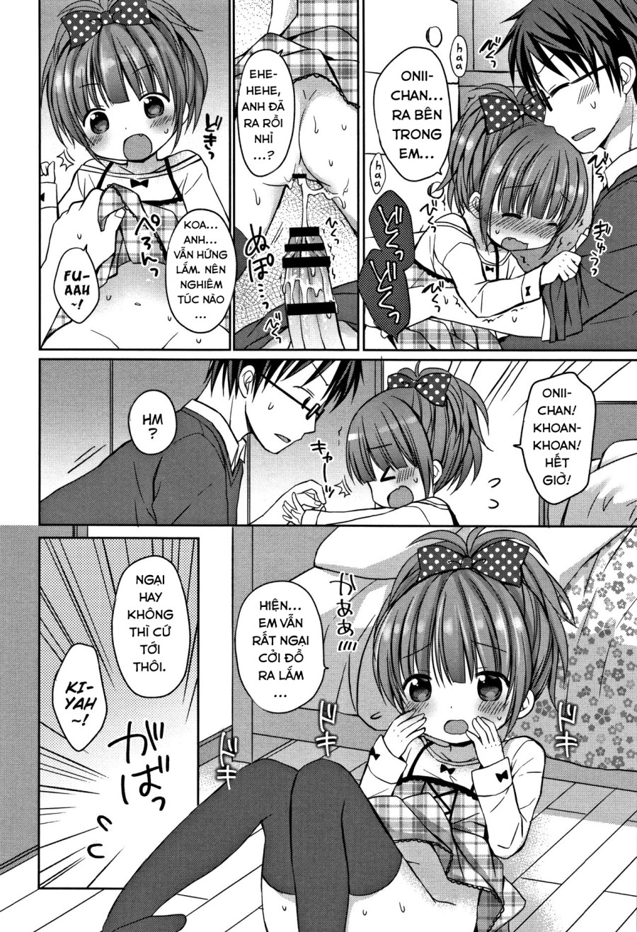 Onii-chan, chơi nào! 