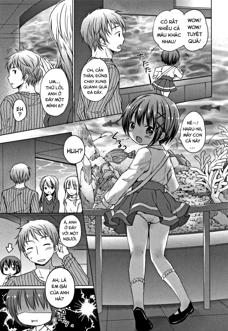Onii-chan, chơi nào! 