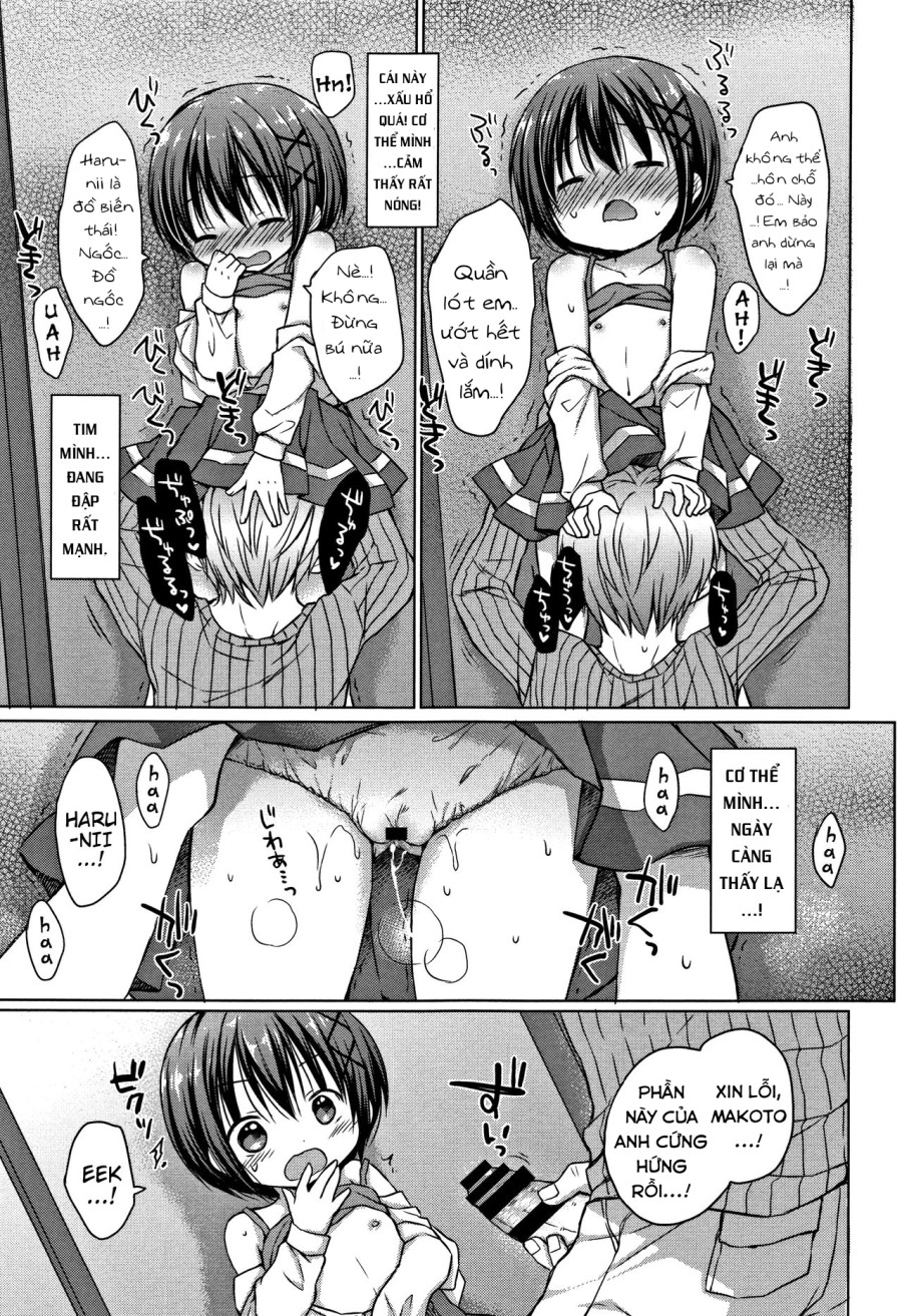 Onii-chan, chơi nào! 