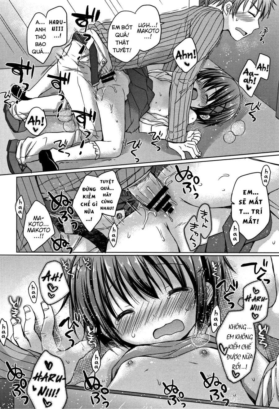 Onii-chan, chơi nào! 